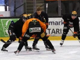 liiga kookoo lomautukset