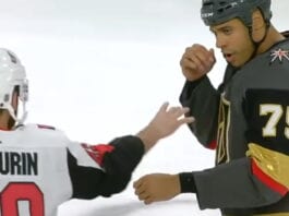 Ryan Reaves Vegas Golden Knights NHL