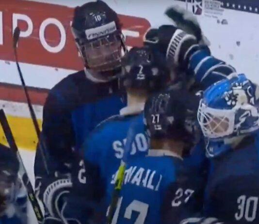 Pikkuleijonat koki murskatappion pronssiottelussa