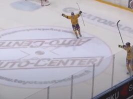 Rauman Lukko