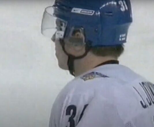 Leijonat