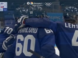 Leijonien Sakari Manninen Leijonat