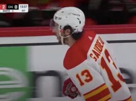 Johnny Gaudreau