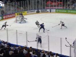 Leijonat