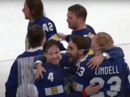 Leijonat