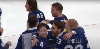 Leijonat