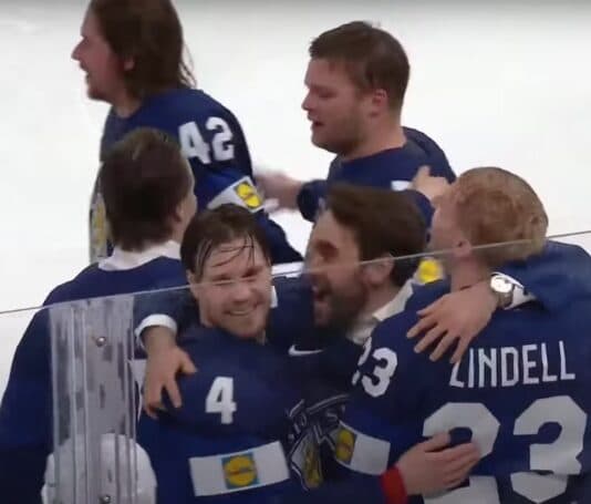 Leijonat