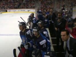 Nuoret Leijonat