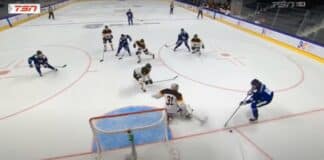 Pikkuleijonat