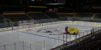 Arizona Coyotes