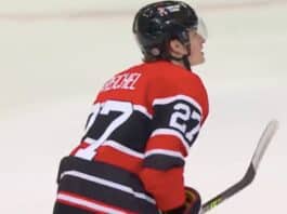 Lukas Reichel