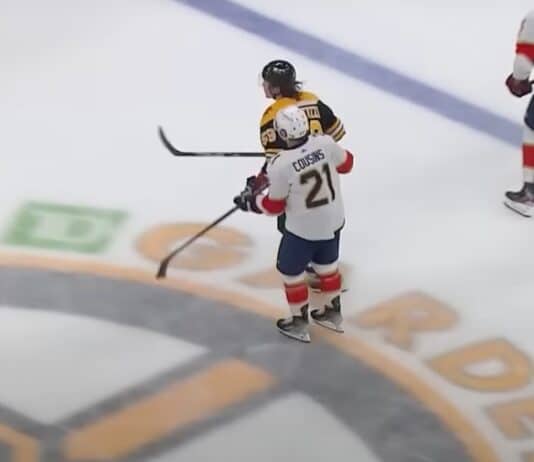 Tyler Bertuzzi Nick -cousins
