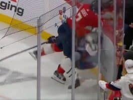Radko Gudas