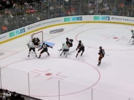 Miro Heiskanen Anaheim-Dallas
