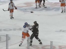 Luke Witkowski