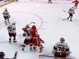 David Perron