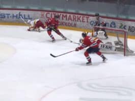 Tuomarin erikoinen hermes-jokerit