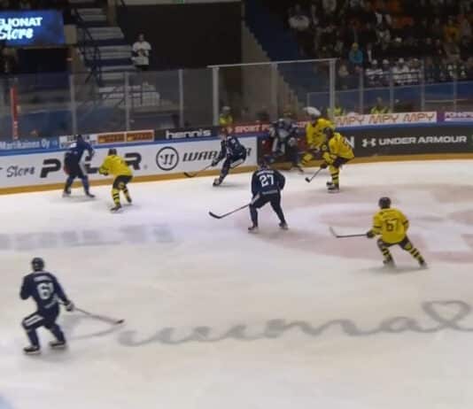Leijonat