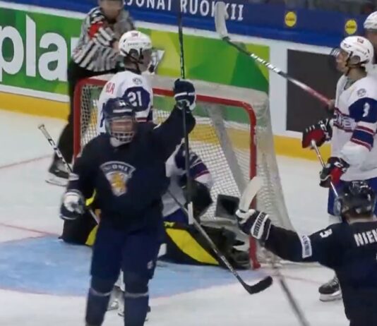 Pikkuleijonat