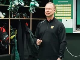 Ilves