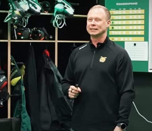 Ilves