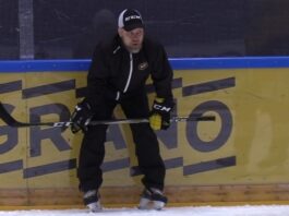 Mikko Manner