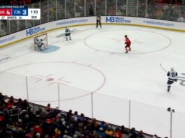 Tuomarivirhe Leijonien pelissä