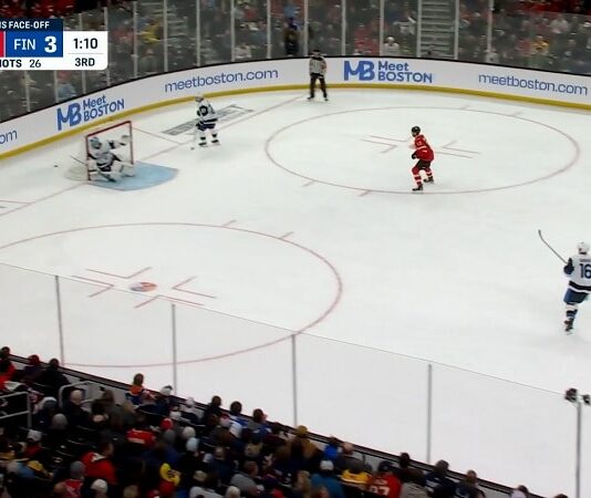 Tuomarivirhe Leijonien pelissä