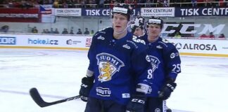 Harri Pesonen Leijonat Leijonien