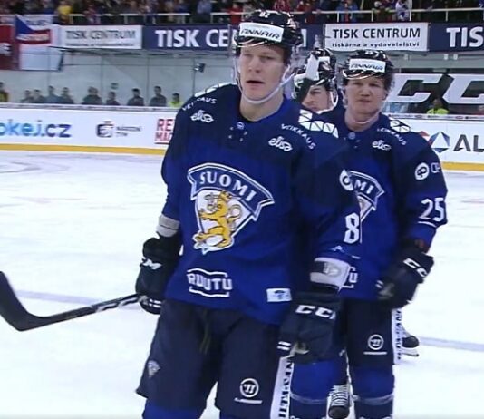Harri Pesonen Leijonat
