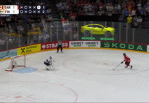 Juuse Saros Leijonat