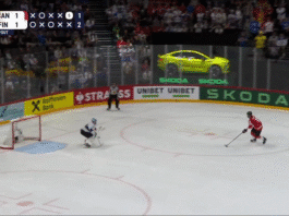 Juuse Saros Leijonat