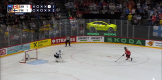 Juuse Saros Leijonat