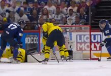 Leijonat
