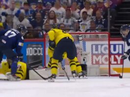 Leijonat