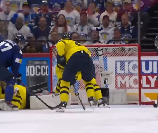 Leijonat
