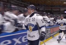 Leijonat