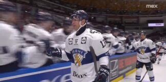 Leijonat