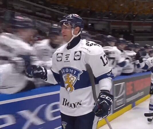 Leijonat