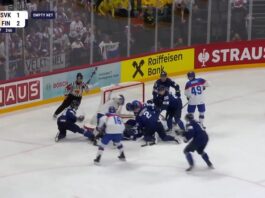 Leijonat (MM-kisaohjelma)