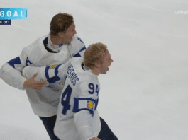 Konsta Helenius Leijonat