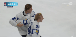 Konsta Helenius Leijonat