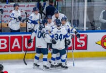 Leijonat (Leijonien)
