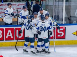 Leijonat (Leijonien)