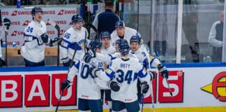 Leijonat