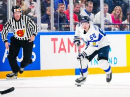 Leijonien MM-otteluiden ilmaislähetykset
